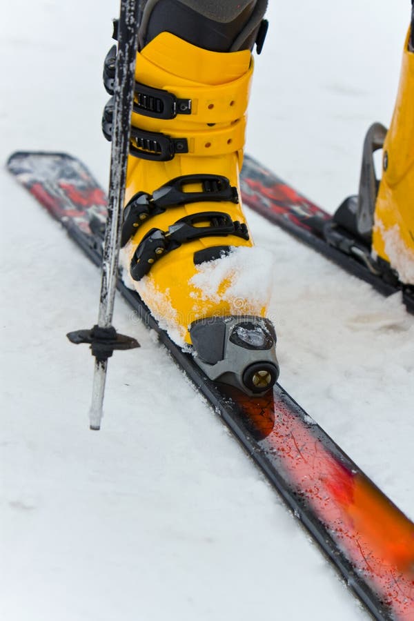Feet stock photo. Image of foot, nail, finger, feet, relaxation 10601426