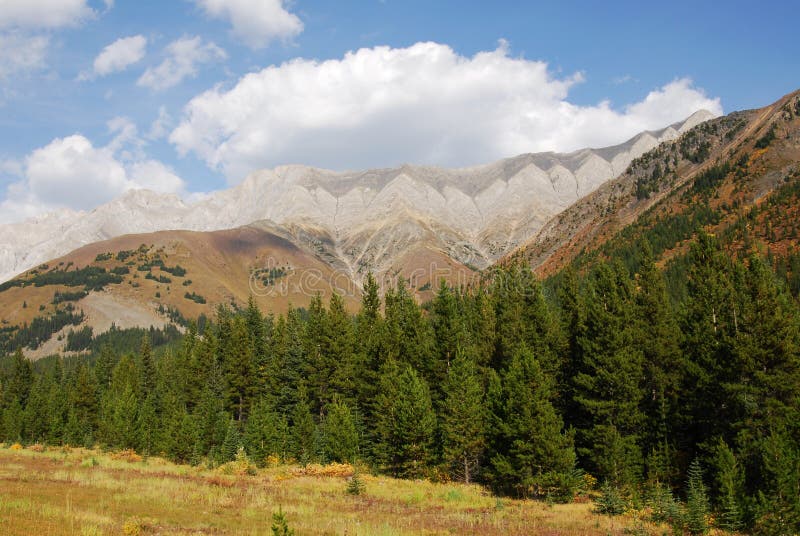 Mountain slopes with forests