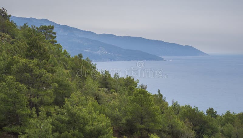 Beautiful Mediterranean Sea With Clear Turquoise Water And Pine Trees Stock  Photo - Image of greece, green: 223913666