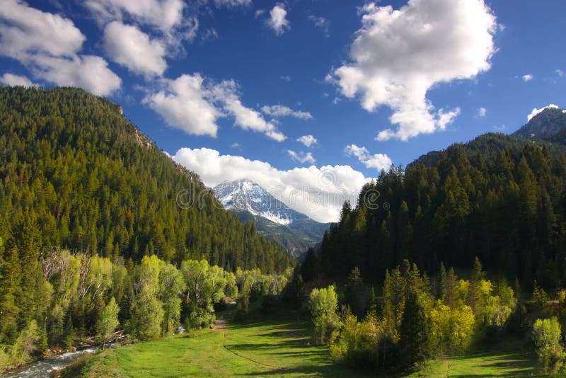 Mountain Spring