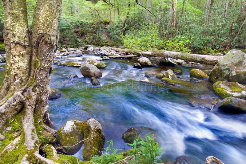 Mountain Stream