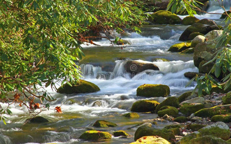 Mountain stream