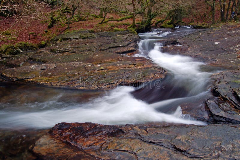 Mountain stream