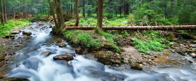 Mountain stream