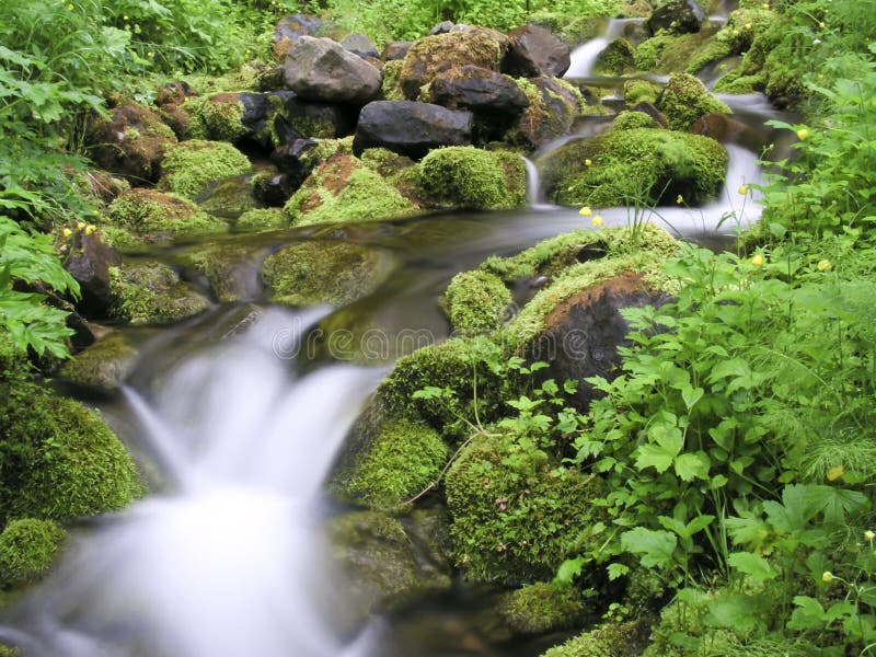 Mountain stream