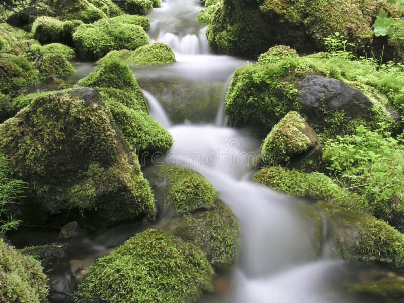 Mountain stream