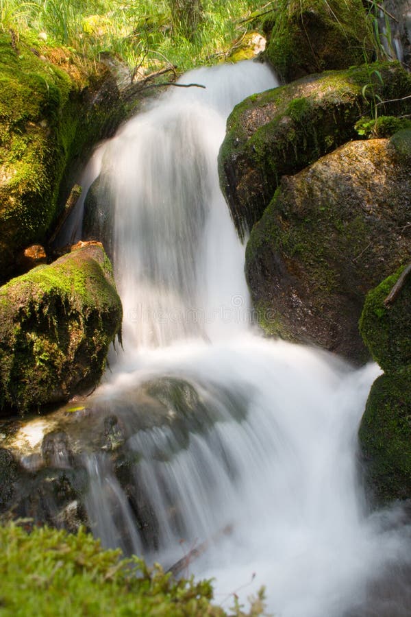 Mountain stream