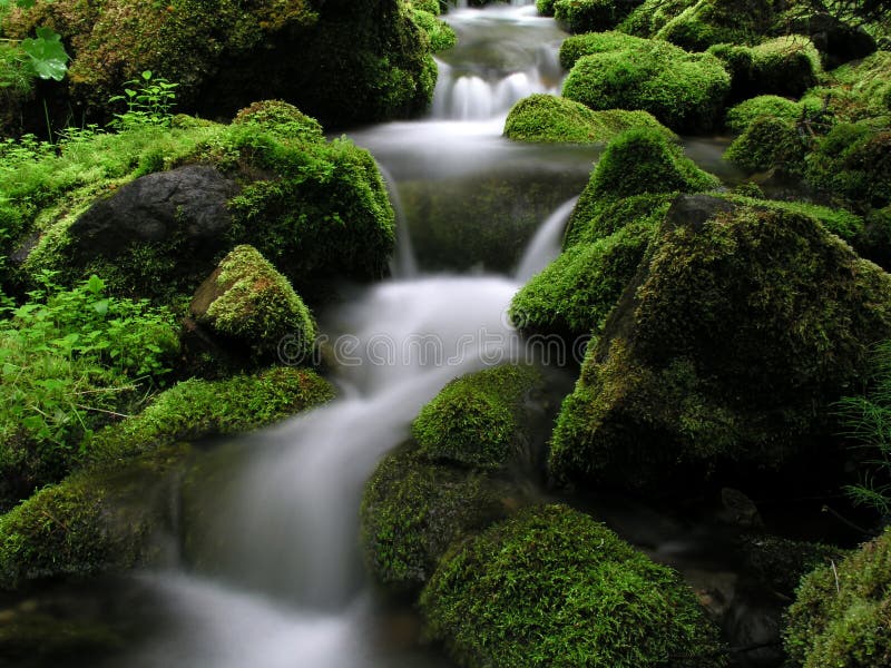 Mountain Stream