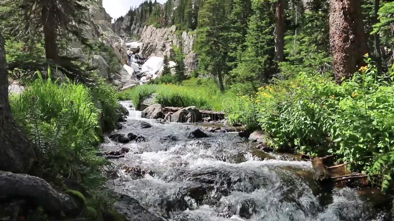 Mountain Stream Below a Waterfall