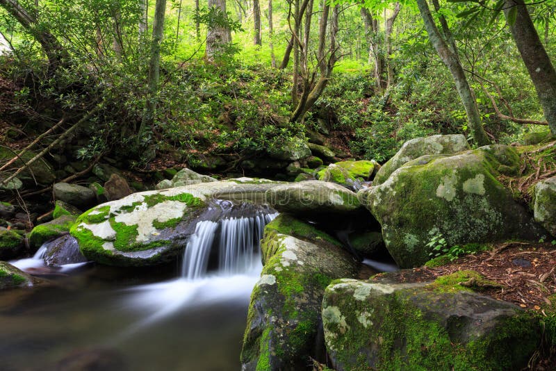 Mountain Stream Cascade Great Smoky National Park Tennessee