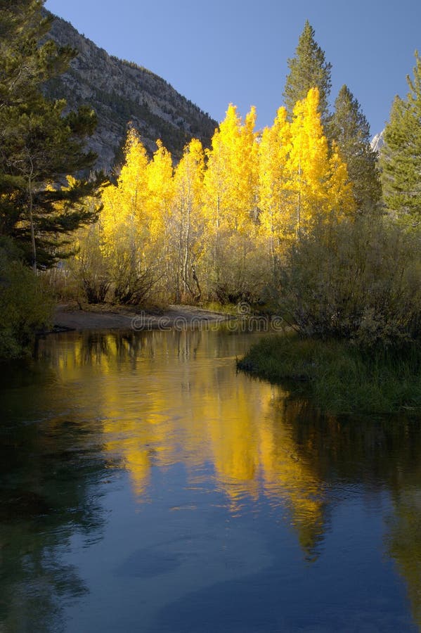 Mountain Stream, Fall Colors
