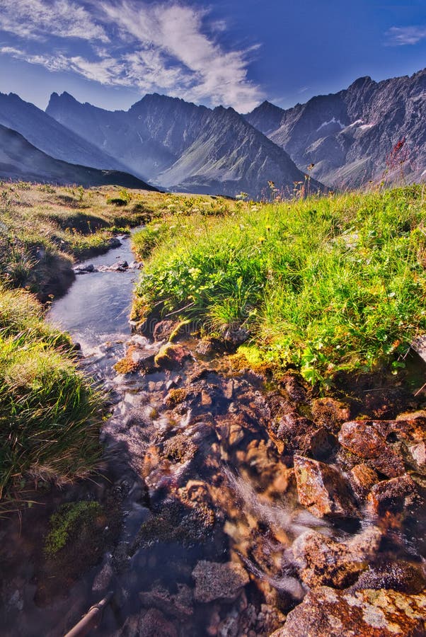 Mountain stream in Kobylia dolina valley in High Tatras during summer