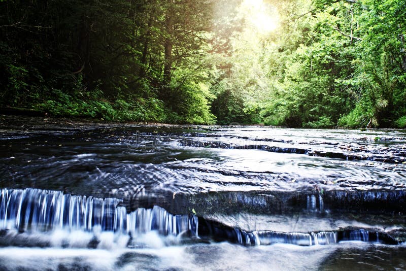 A peaceful stream flowing through the woods in southern Kentucky. A peaceful stream flowing through the woods in southern Kentucky.