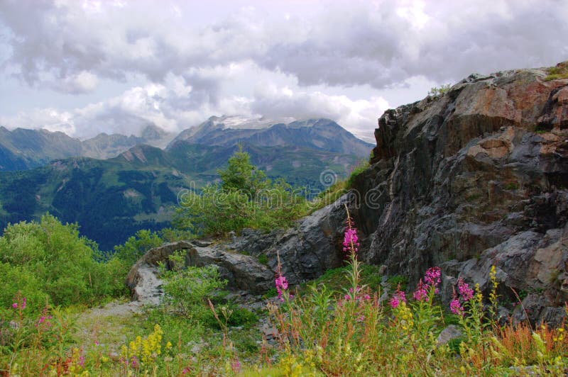 Mountain summer landscape