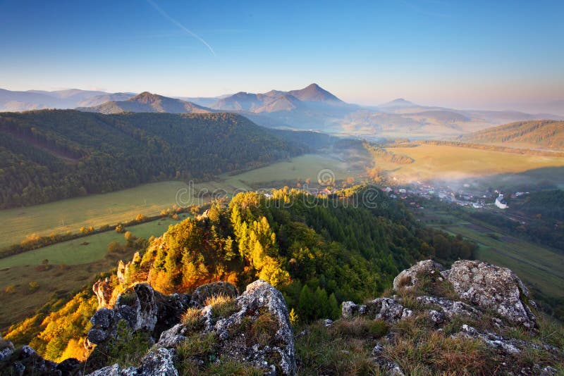 Mountain summer landscape with colorful forest