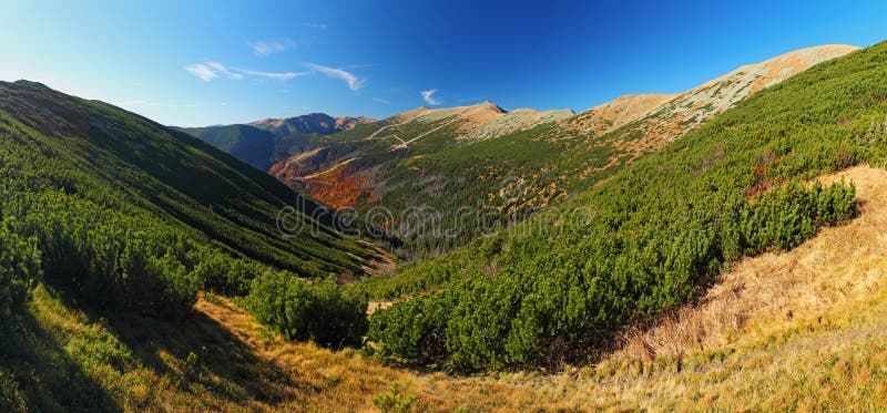 Mountain summer landscape with colorful forest - Small Tatra - S