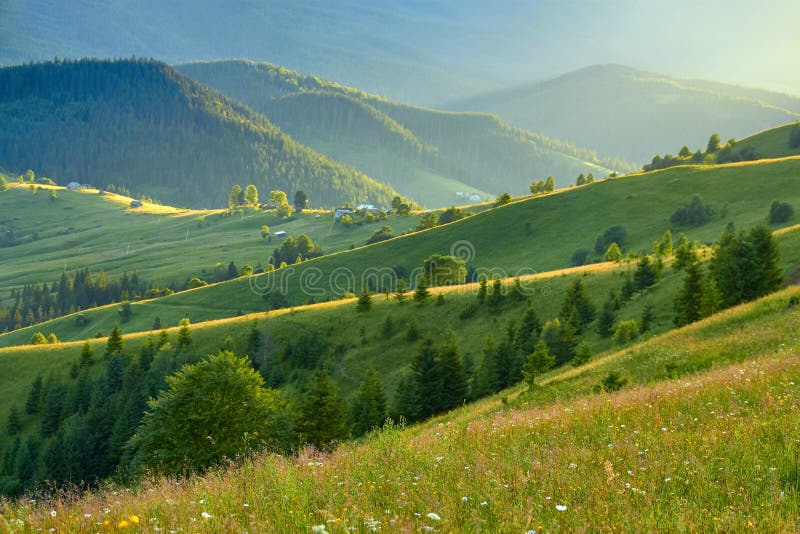 Mountain Summer Landscape with Wooded Green Hills. Beautiful Sunny ...