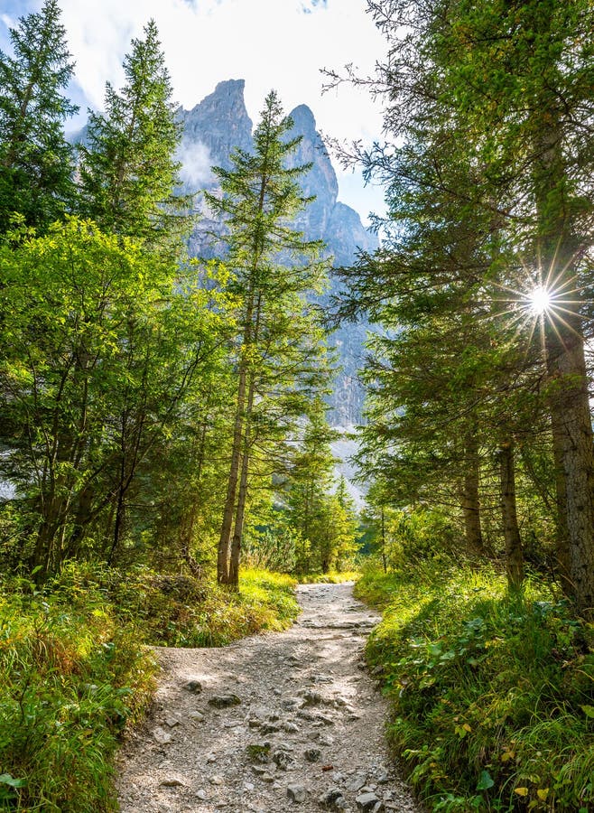 Mountain sunset landscape in the Dolomites. Hike in the alps wood in Tyrol south Tyrol.