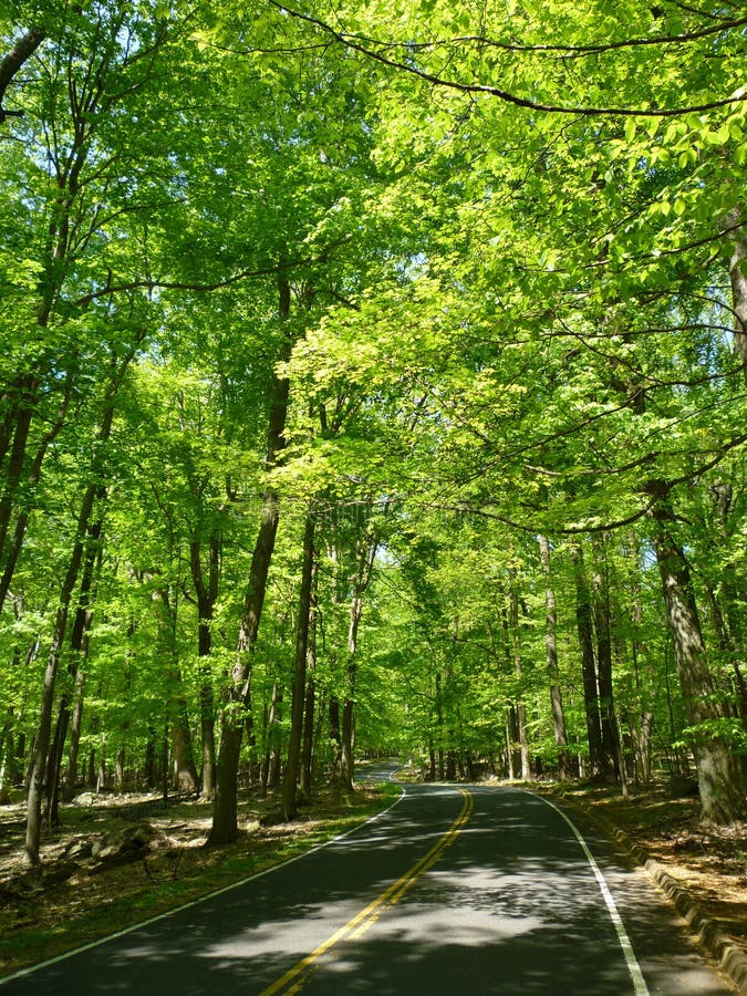 Mountain Top Drive