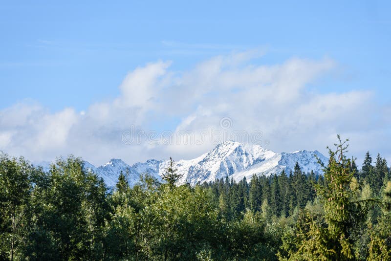 Mountain tops in autumn covered in mist or clouds in sunny day