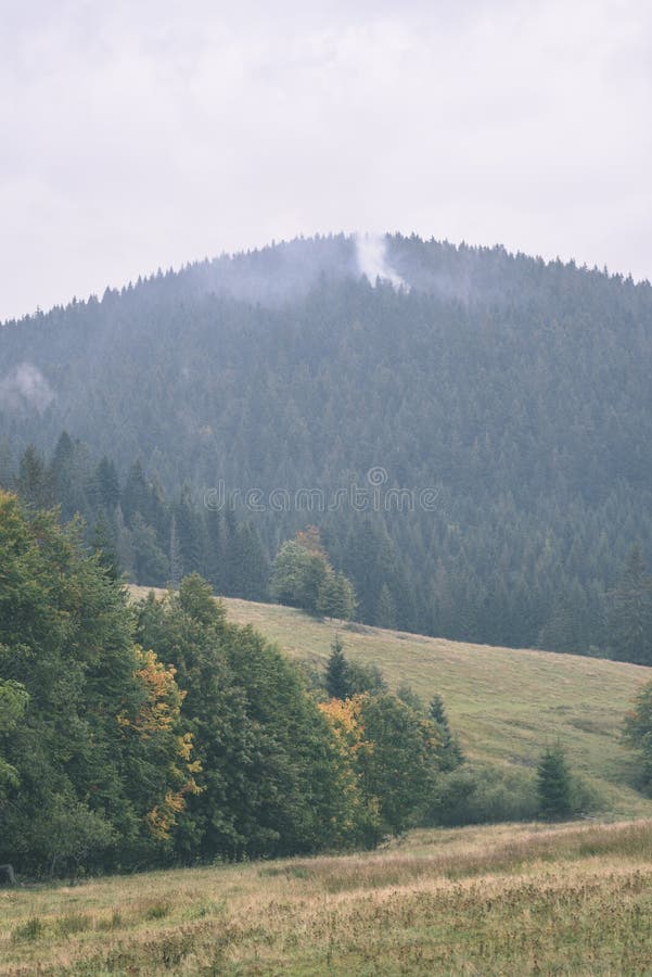 Mountain tops in autumn covered in mist or clouds- vintage effe