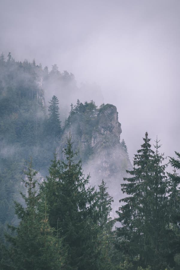 Mountain tops in autumn covered in mist or clouds- vintage effe