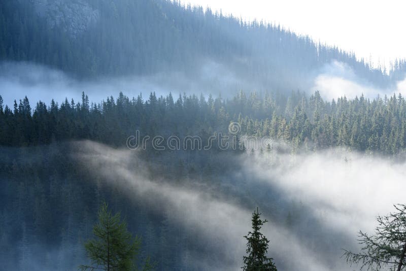 Mountain tops in autumn covered in mist or clouds