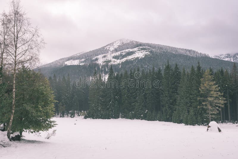 Mountain tops in winter covered in snow - vintage film look