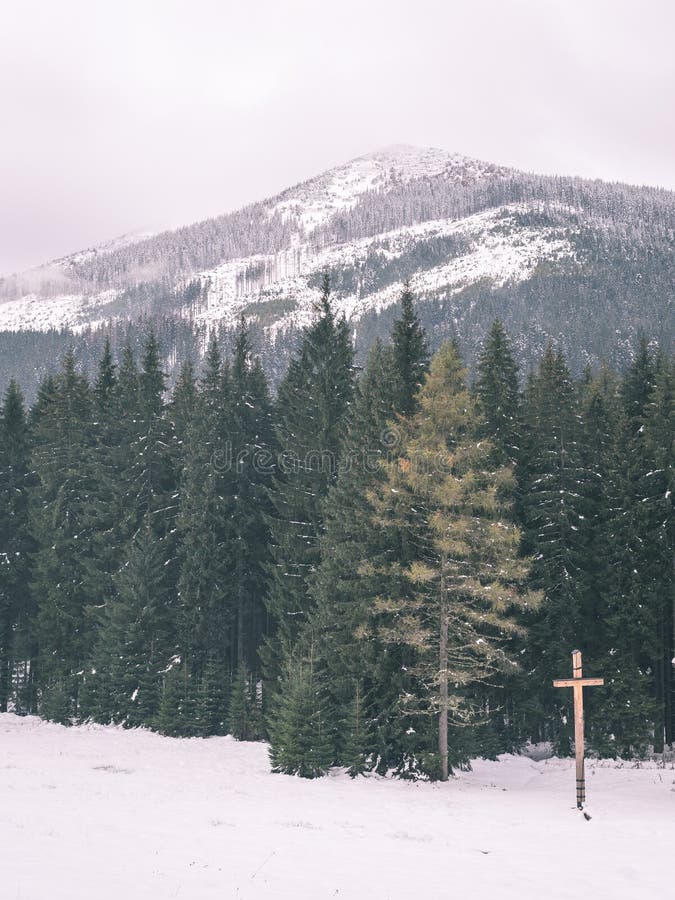 Mountain tops in winter covered in snow - vintage film look