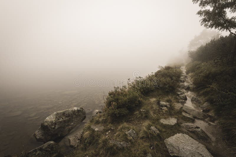 Horský turistický chodník na jeseň pokrytý hmlou mäkkou vintage