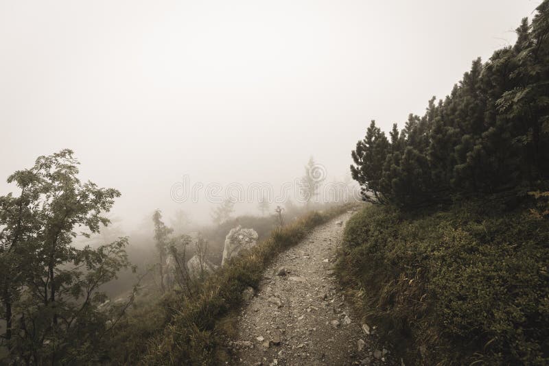 Mountain tourist trail in autumn covered in mist - soft vintage