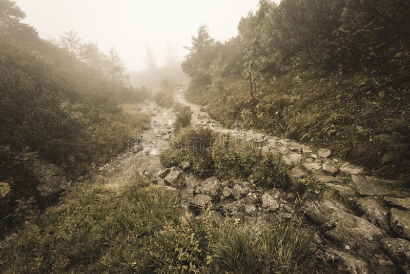 Mountain tourist trail in autumn covered in mist - soft vintage