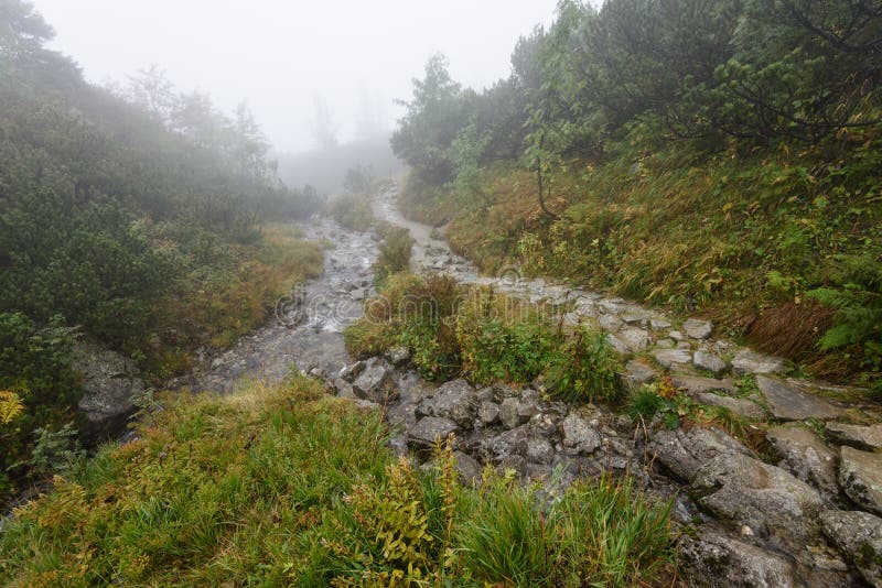 Mountain tourist trail in autumn covered in mist