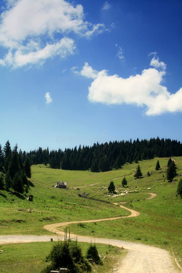 Mountain trail