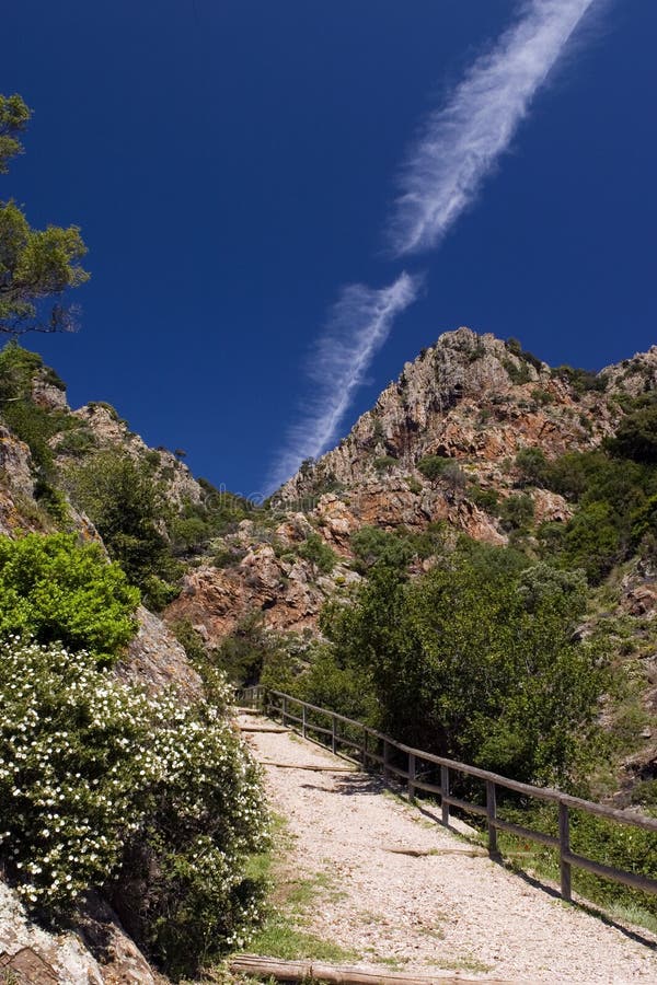 Mountain trail