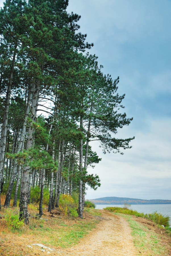 Mountain trail with tree by lake