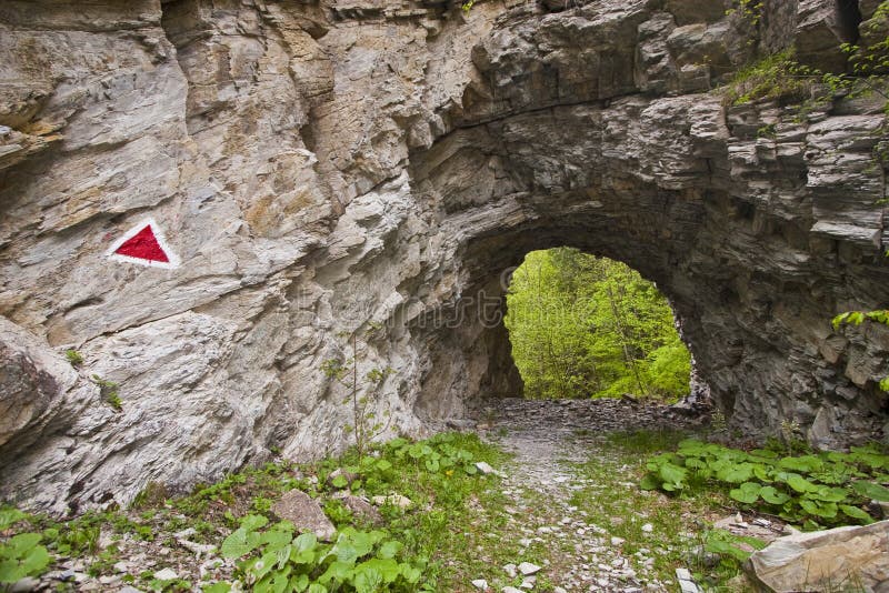 Mountain Trail through the Tunnel Stock Photo Image of hiking, active 14355464