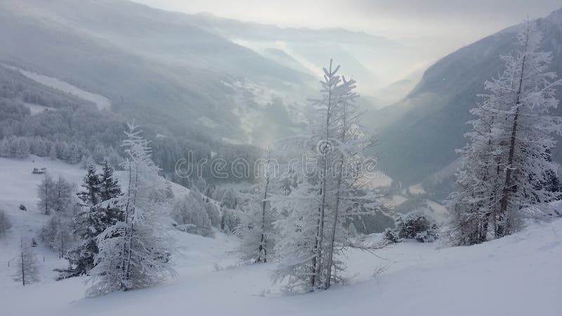 Colorful winter morning in the mountains stock images Colorful winter morning in the mountains stock images