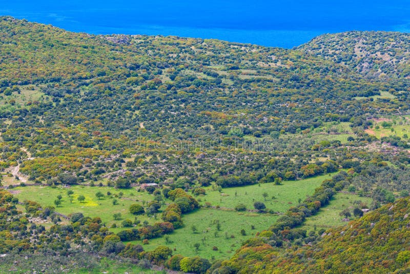 Mountain Valley Green Grass Field Natural Stock Image Image of scenic