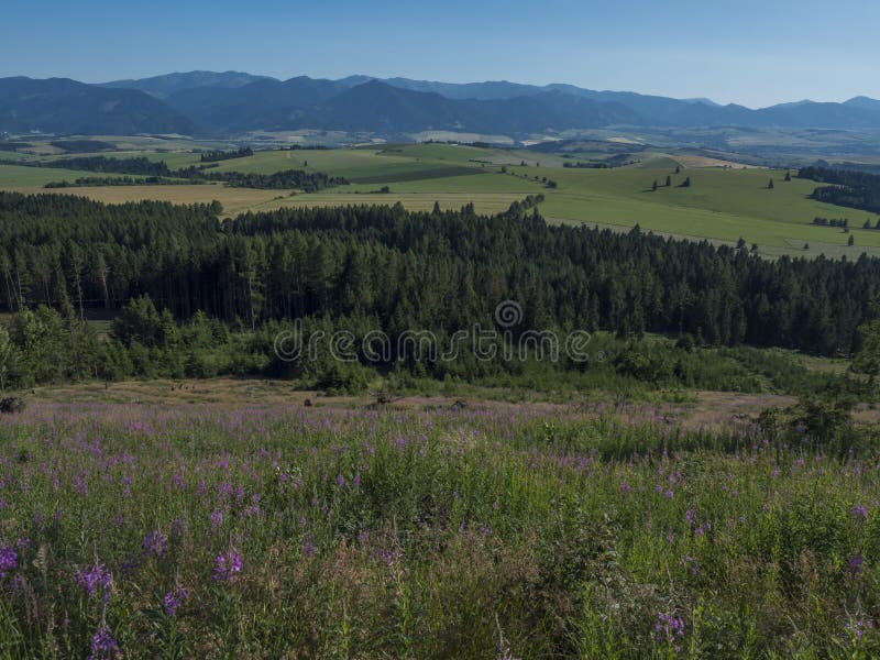 Horské údolie s lúkou, lesom, zelenými poliami a modrými hmlovými svahmi nízkych tatier v diaľke