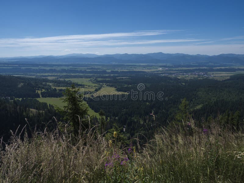 Mountain valley with meadow, spruce tree forest, green fileds and with blue misty slopes of low tatra mountais in the