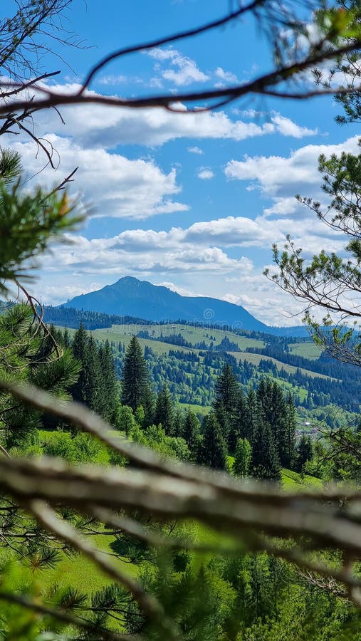 その他 Rolling Meadows Rolling Meadows - 4909 Rolling Meadows Dr Dallas TX 75211