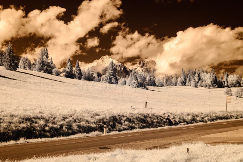 Mountain view from forest. infrared image