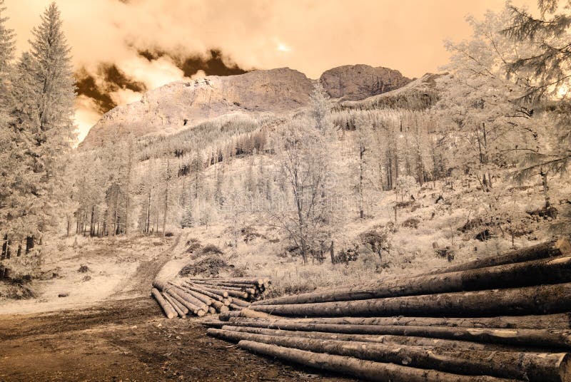 Mountain view from forest. infrared image