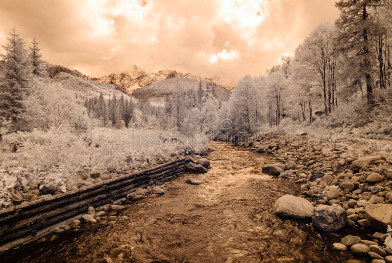 Mountain view from forest. infrared image