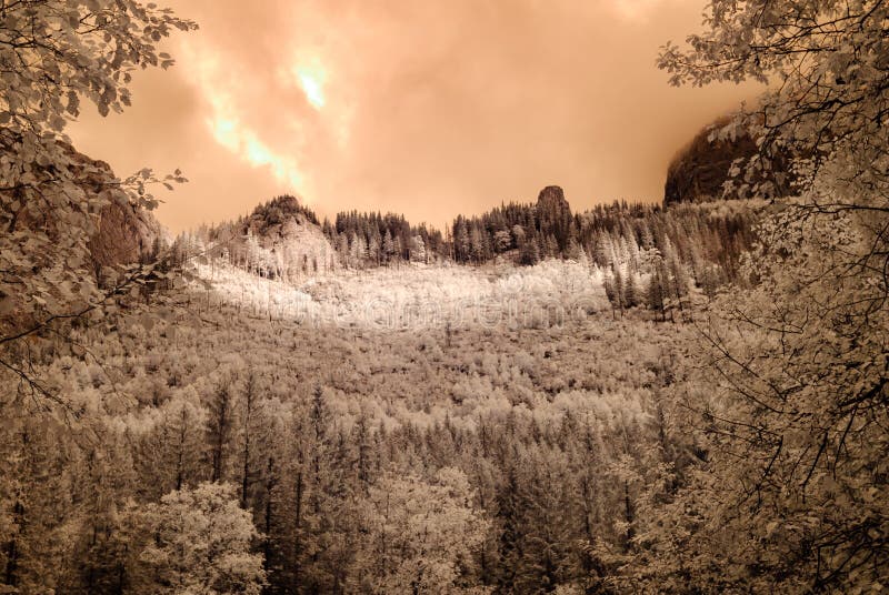 Mountain view from forest. infrared image