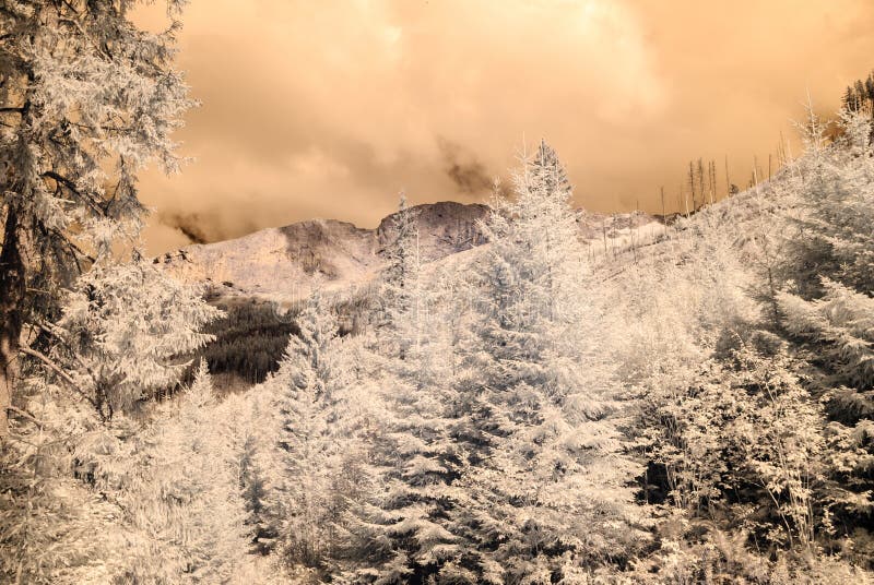 Mountain view from forest. infrared image