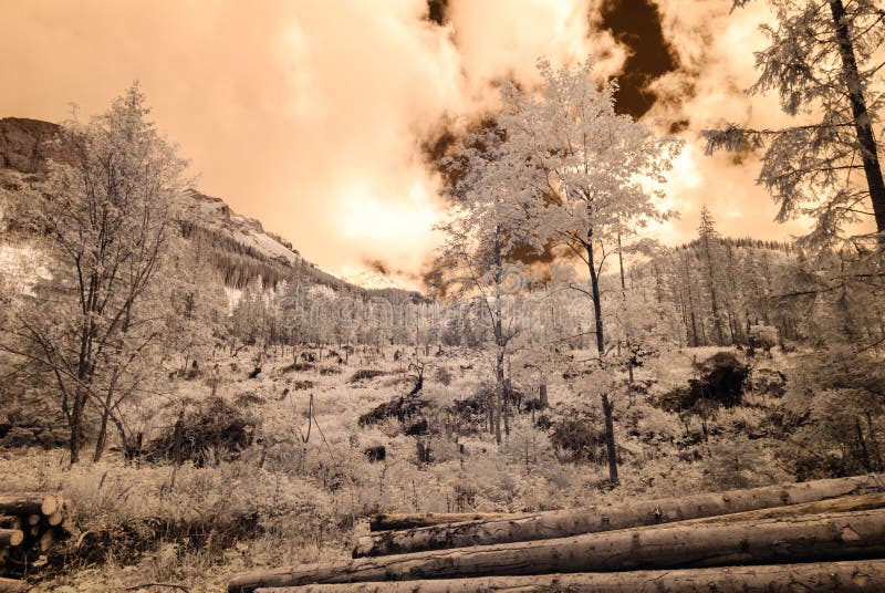 Mountain view from forest. infrared image