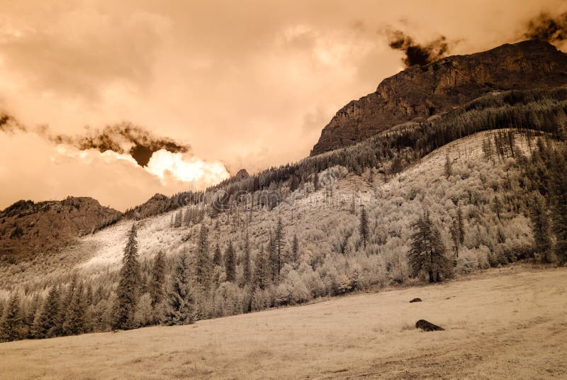 Mountain view from forest. infrared image