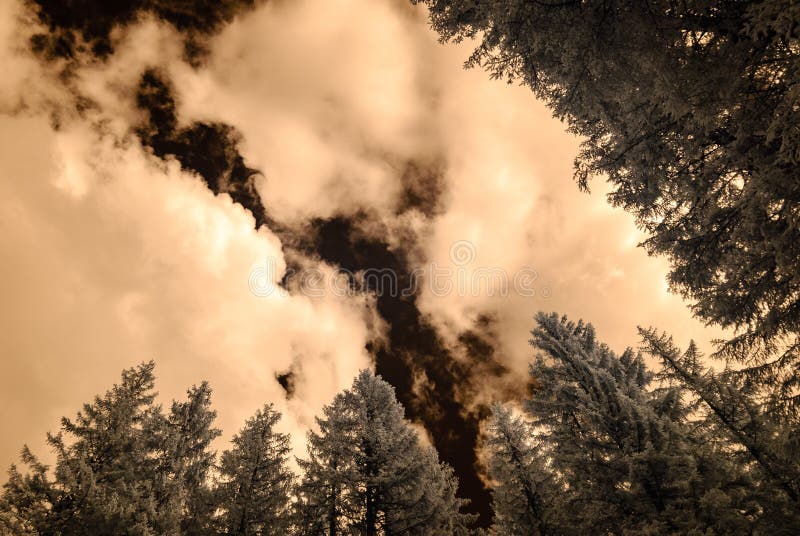 Mountain view from forest. infrared image